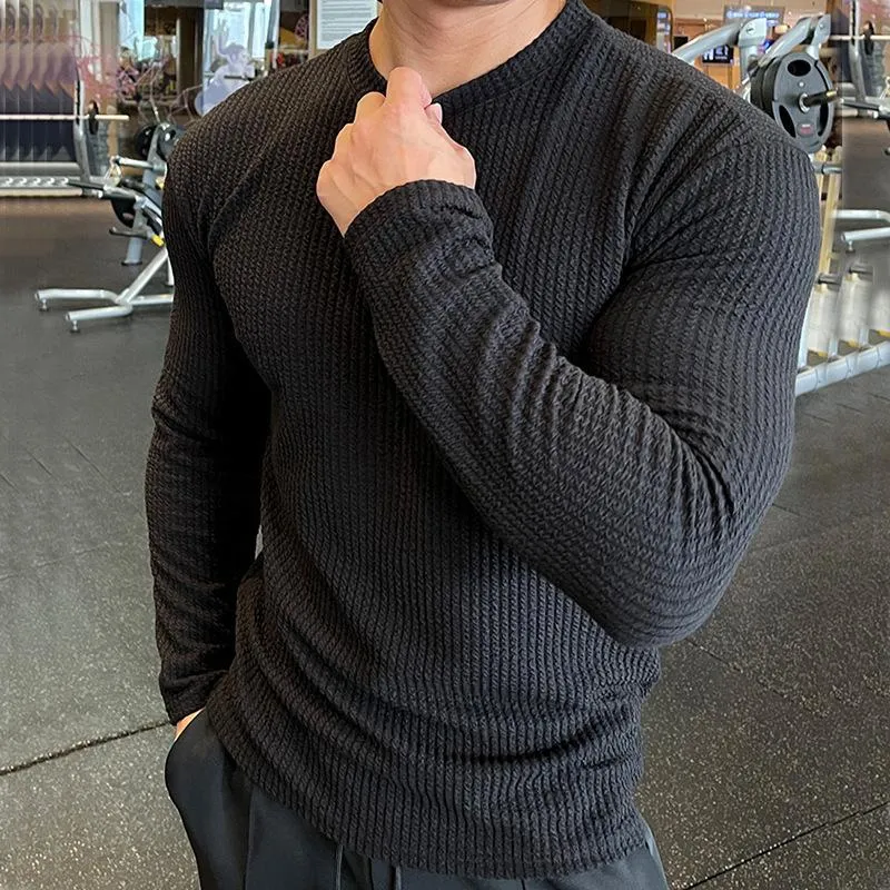 Men's Fitness Long Sleeve Knitted Pullover T-Shirt 20913261L