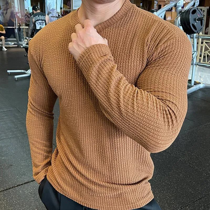 Men's Fitness Long Sleeve Knitted Pullover T-Shirt 20913261L