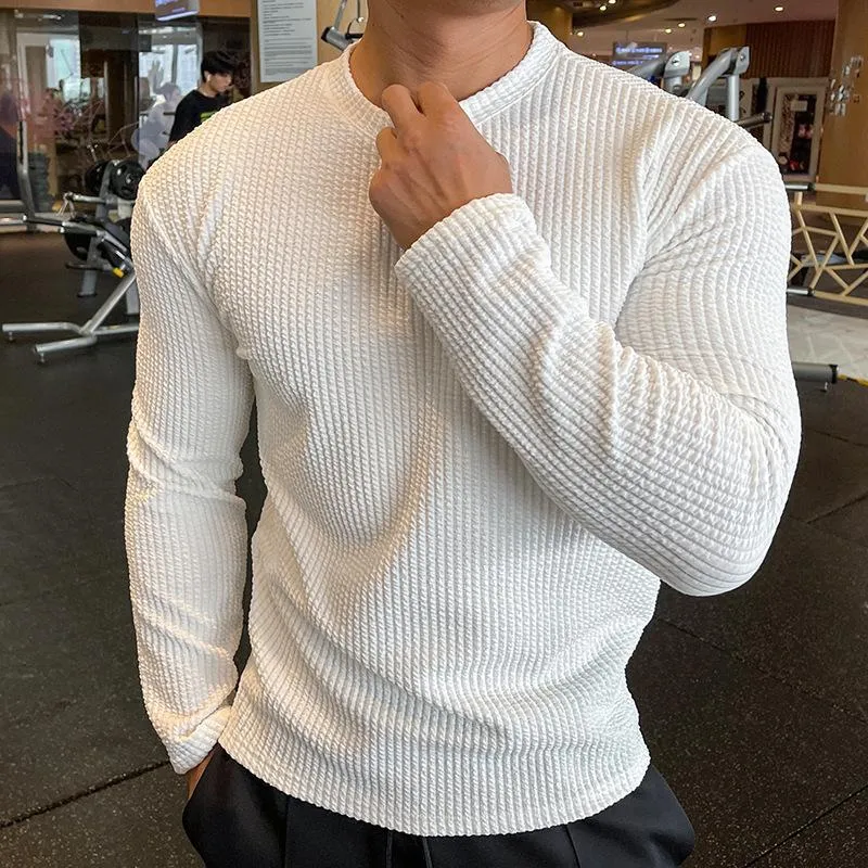 Men's Fitness Long Sleeve Knitted Pullover T-Shirt 20913261L